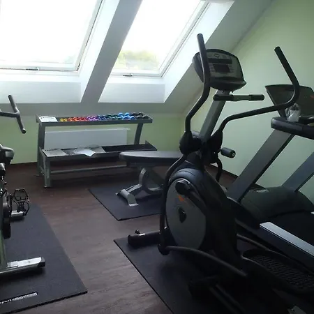 Отель Schade's Wohlfuehlhotel